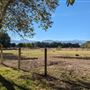 10 Acre Farmland with Log Cabin and Mature Trees