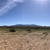 Camel Safari with Virgin River 176 acres