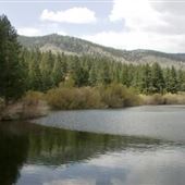 Davis Creek Regional Park