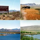 Pahranagat National Wildlife Refuge