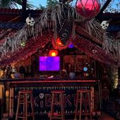Tiki Bar/Backyard/Pool