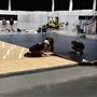 Basketball Court & Event Flooring