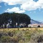 Paradise Valley
