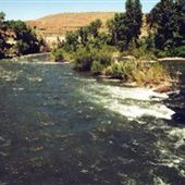 Crystal Peak Park / Truckee River