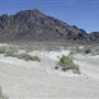 Black Rock Desert