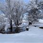 Scenic & Rugged, Old West Ranch close to Tahoe