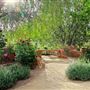 Springs Preserve