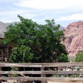 Calico Basin- Red Rock Canyon