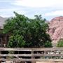 Calico Basin- Red Rock Canyon