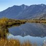 Carson Valley