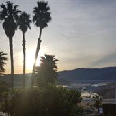 Callville Bay Marina