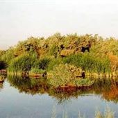 Clark County Wetlands Park