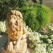 Single story with multi style interior and gardens