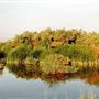 Clark County Wetlands Park