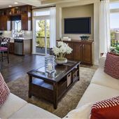 3 - Story Brand NEW Model Home