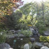 Rancho San Rafael Park