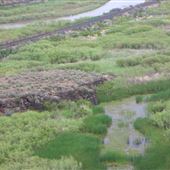 Highway 278-South of Carlin- NDOT District 3