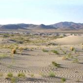 Winnemucca Sand Dunes