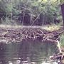 Beaver Dam State Park