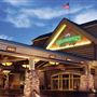 Silverton Casino & Hotel